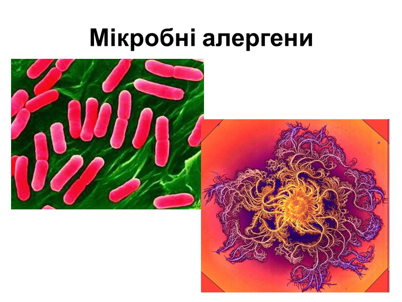 Мікробні алергени